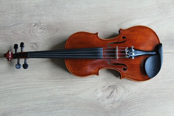 Découvrez les meilleures écoles de violon à Avignon