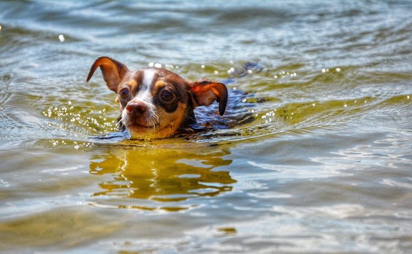 Comment débuter comme organisateur d'événements ?