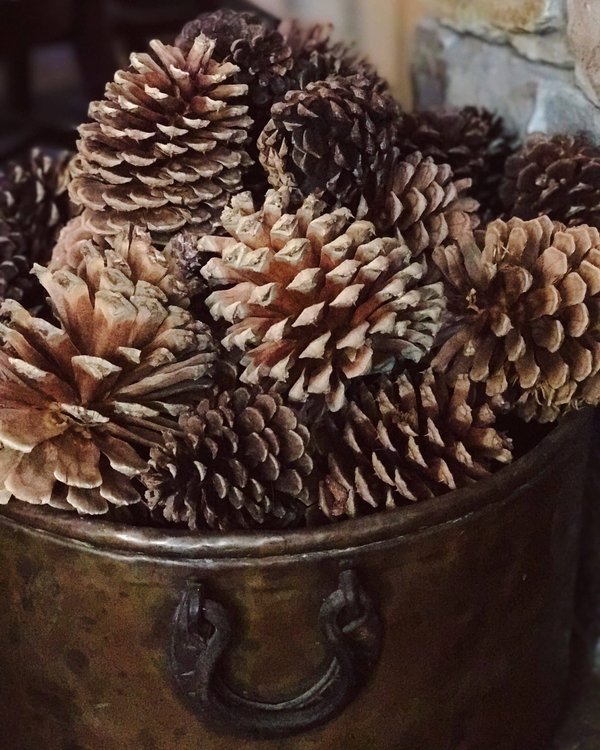 Quelles étapes pour créer un ciné-club éducatif pour enfants ?